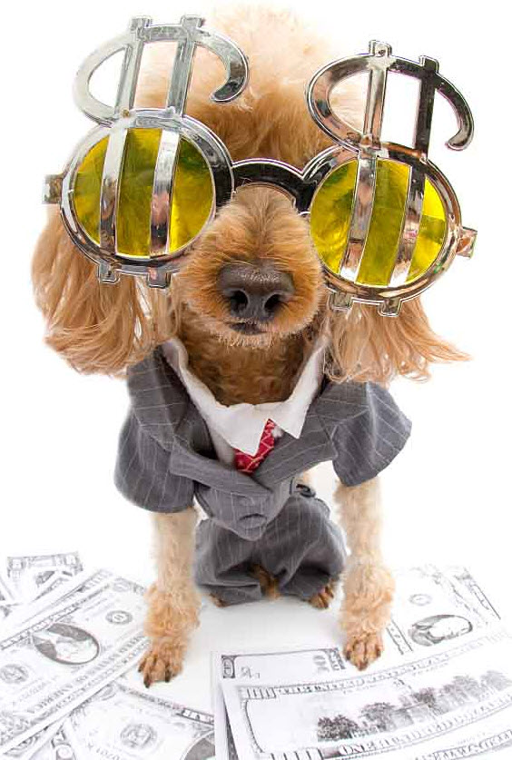 Make Money Online From Your Pet With Pay Per Click Ads